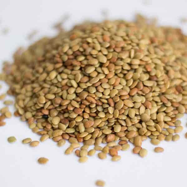 horse-gram-kulthi-dal-benefits-nutrition-and-easy-recipe